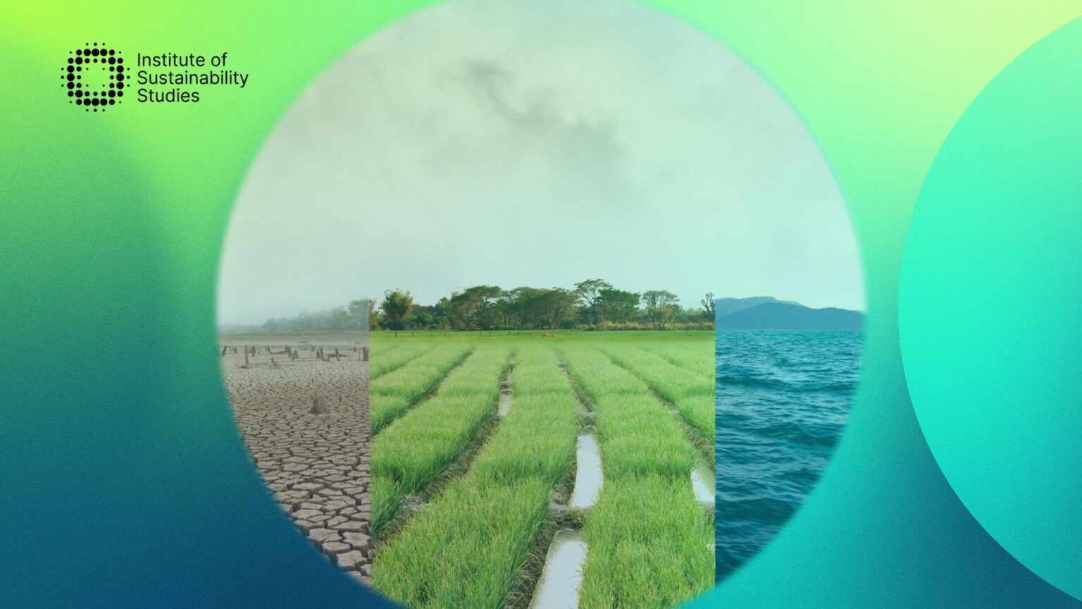 Environmental risk management: A practical guide for businesses